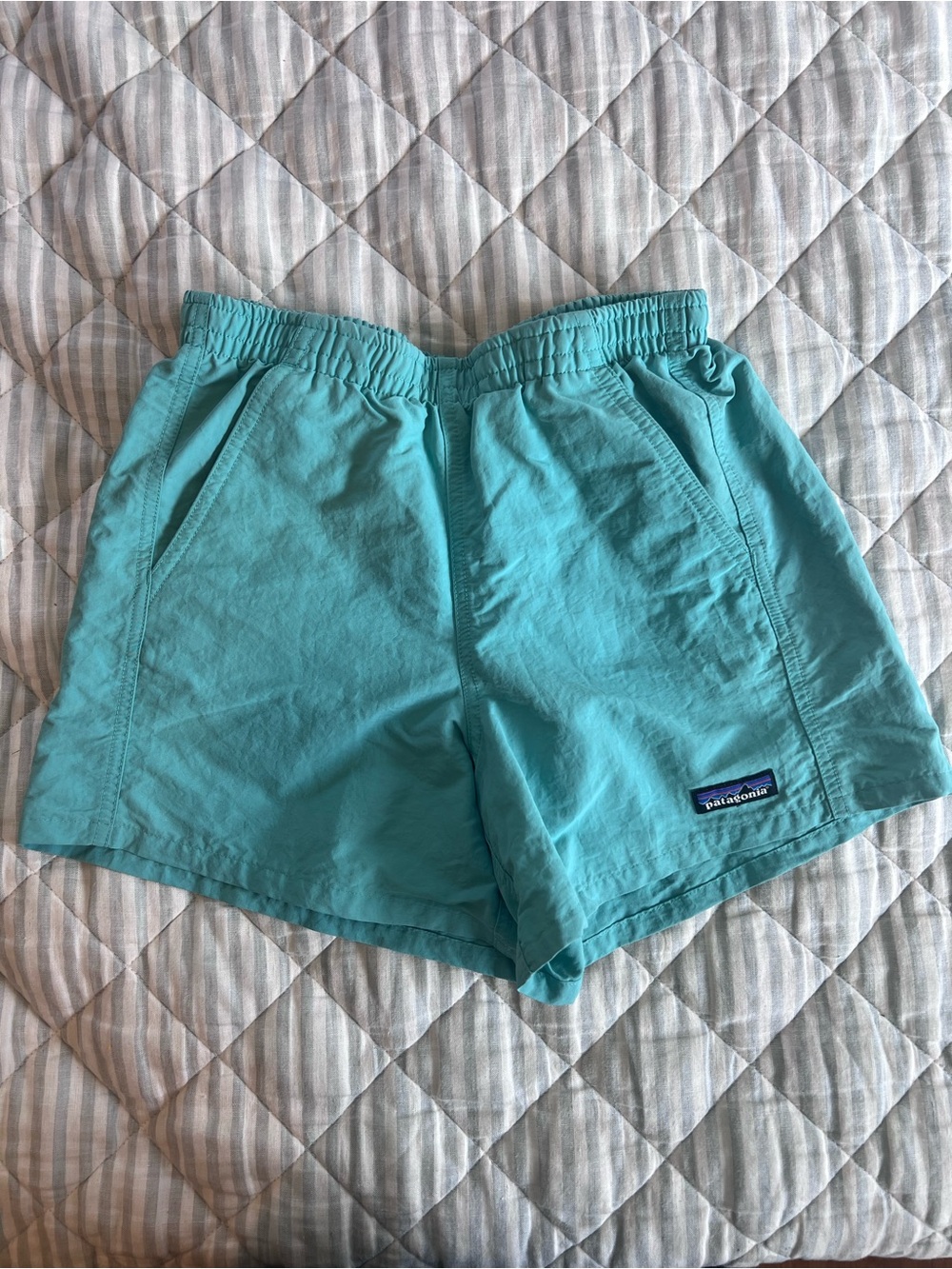 Patagonia Womens Baggies Shorts Blue Size XXS